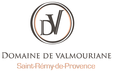 DOMAINE DE VALMOURIANE